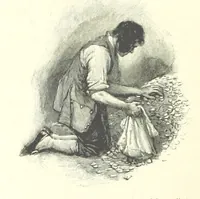 Picture 45 of 46 from Treasure Island ... New edition, with original illustrations by Wal Paget (1899), leaf 398