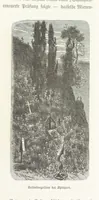 An illustration from Bilder aus Elsass Lothringen. Original-Zeichnungen von R. Assmus ... Schilderungen von K. S (1876)