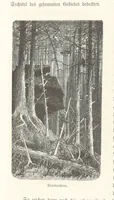 An illustration from Bilder aus Elsass Lothringen. Original-Zeichnungen von R. Assmus ... Schilderungen von K. S (1876)