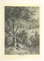 An illustration from Bilder aus Elsass Lothringen. Original-Zeichnungen von R. Assmus ... Schilderungen von K. S (1876)