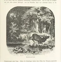 An illustration from Bilder aus Elsass Lothringen. Original-Zeichnungen von R. Assmus ... Schilderungen von K. S (1876)