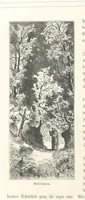 Picture 87 of 228 from Bilder aus Elsass Lothringen. Original-Zeichnungen von R. Assmus ... Schilderungen von K. S (1876), leaf 158
