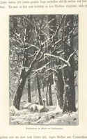 Picture 91 of 228 from Bilder aus Elsass Lothringen. Original-Zeichnungen von R. Assmus ... Schilderungen von K. S (1876), leaf 164