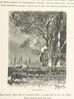 An illustration from Bilder aus Elsass Lothringen. Original-Zeichnungen von R. Assmus ... Schilderungen von K. S (1876)