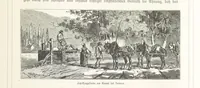 An illustration from Bilder aus Elsass Lothringen. Original-Zeichnungen von R. Assmus ... Schilderungen von K. S (1876)