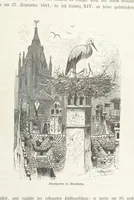 An illustration from Bilder aus Elsass Lothringen. Original-Zeichnungen von R. Assmus ... Schilderungen von K. S (1876)