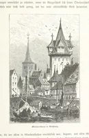 An illustration from Bilder aus Elsass Lothringen. Original-Zeichnungen von R. Assmus ... Schilderungen von K. S (1876)
