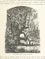 An illustration from Bilder aus Elsass Lothringen. Original-Zeichnungen von R. Assmus ... Schilderungen von K. S (1876)
