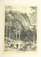 Picture 177 of 228 from Bilder aus Elsass Lothringen. Original-Zeichnungen von R. Assmus ... Schilderungen von K. S (1876), leaf 309
