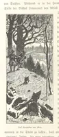 An illustration from Bilder aus Elsass Lothringen. Original-Zeichnungen von R. Assmus ... Schilderungen von K. S (1876)