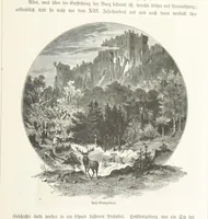An illustration from Bilder aus Elsass Lothringen. Original-Zeichnungen von R. Assmus ... Schilderungen von K. S (1876)
