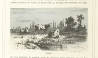 An illustration from Bilder aus Elsass Lothringen. Original-Zeichnungen von R. Assmus ... Schilderungen von K. S (1876)