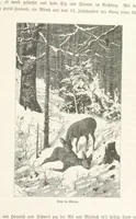 An illustration from Bilder aus Elsass Lothringen. Original-Zeichnungen von R. Assmus ... Schilderungen von K. S (1876)
