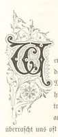 An illustration from Bilder aus Elsass Lothringen. Original-Zeichnungen von R. Assmus ... Schilderungen von K. S (1876)