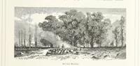 An illustration from Bilder aus Elsass Lothringen. Original-Zeichnungen von R. Assmus ... Schilderungen von K. S (1876)