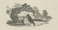 An illustration from Maid Marian, the Forest Queen, being a companion to “Robin Hood.” (1849)