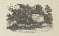 Picture 34 of 34 from Maid Marian, the Forest Queen, being a companion to “Robin Hood.” (1849), leaf 258
