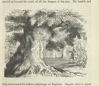 An illustration from Maid Marian, the Forest Queen, being a companion to “Robin Hood.” (1849)