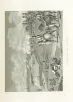 Picture 27 of 72 from Das Welttheater, oder die allgemeine Weltgeschichte von der Schöpfung bis zum Jahr 1840, etc (1834), leaf 817