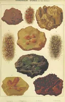 An illustration from Precious Stones and Gems, their history and distinguishing characteristics ... Illustrated, etc (1877)