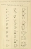An illustration from Precious Stones and Gems, their history and distinguishing characteristics ... Illustrated, etc (1877)