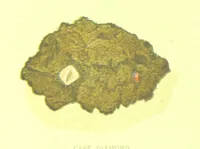 An illustration from Precious Stones and Gems ... Third edition (1882)