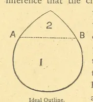 An illustration from Precious Stones and Gems ... Third edition (1882)