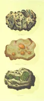 An illustration from Precious Stones and Gems ... Third edition (1882)