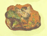 An illustration from Precious Stones and Gems ... Third edition (1882)