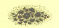 An illustration from Precious Stones and Gems ... Third edition (1882)
