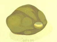 Picture 33 of 42 from Precious Stones and Gems ... Third edition (1882), leaf 235