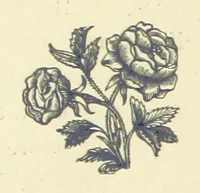 An illustration from Precious Stones and Gems ... Fifth edition, revised and largely rewritten, with chapters on the ruby mines of Burma (1892)