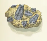 Picture 25 of 58 from Precious Stones and Gems ... Fifth edition, revised and largely rewritten, with chapters on the ruby mines of Burma (1892), leaf 229