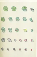 Picture 27 of 58 from Precious Stones and Gems ... Fifth edition, revised and largely rewritten, with chapters on the ruby mines of Burma (1892), leaf 241