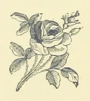 An illustration from Precious Stones and Gems ... Fifth edition, revised and largely rewritten, with chapters on the ruby mines of Burma (1892)