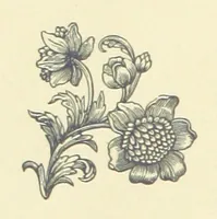 An illustration from Precious Stones and Gems ... Fifth edition, revised and largely rewritten, with chapters on the ruby mines of Burma (1892)