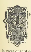 An illustration from Precious Stones and Gems ... Fifth edition, revised and largely rewritten, with chapters on the ruby mines of Burma (1892)