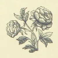 Picture 56 of 58 from Precious Stones and Gems ... Fifth edition, revised and largely rewritten, with chapters on the ruby mines of Burma (1892), leaf 382