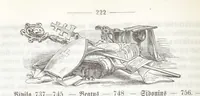 An illustration from Bayern. Ein geographisch-statistisch-historisches Handbuch des Königreiches ... Mit 300 Illustrationen (1852)