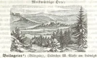 Picture 205 of 308 from Bayern. Ein geographisch-statistisch-historisches Handbuch des Königreiches ... Mit 300 Illustrationen (1852), leaf 735
