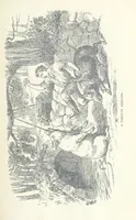 An illustration from Jethou; or, Crusoe life in the Channel Isles (1892)