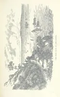 An illustration from Jethou; or, Crusoe life in the Channel Isles (1892)