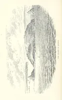 An illustration from Jethou; or, Crusoe life in the Channel Isles (1892)