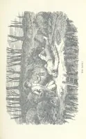 An illustration from Jethou; or, Crusoe life in the Channel Isles (1892)