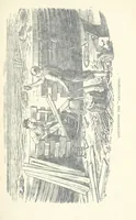 An illustration from Jethou; or, Crusoe life in the Channel Isles (1892)