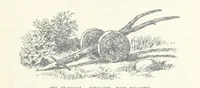 An illustration from Jethou; or, Crusoe life in the Channel Isles (1892)