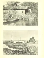An illustration from Sun Pictures of the Norfolk Broads ... By Payne Jennings. With letterpress description by Ernest R. Suffling. (Second edition.) (1892)