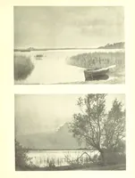 An illustration from Sun Pictures of the Norfolk Broads ... By Payne Jennings. With letterpress description by Ernest R. Suffling. (Second edition.) (1892)