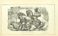 An illustration from The Story of Ireland; a narrative of Irish history, from the earliest ages to the insurrection of 1867 ... Continued to the present time by J. Luby, etc (1885)