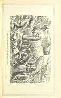 An illustration from The Story of Ireland; a narrative of Irish history, from the earliest ages to the insurrection of 1867 ... Continued to the present time by J. Luby, etc (1885)